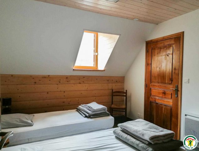 31G101175-770d7e50f78b429f95ccf1e40a105c50