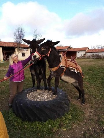 31G101281-7d2e0f1c467d404dab62fd62543b52c7