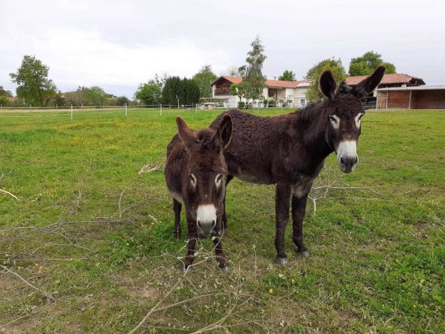 31G101281-e3254a2e259846aaaa9f073ab2b6b3ea