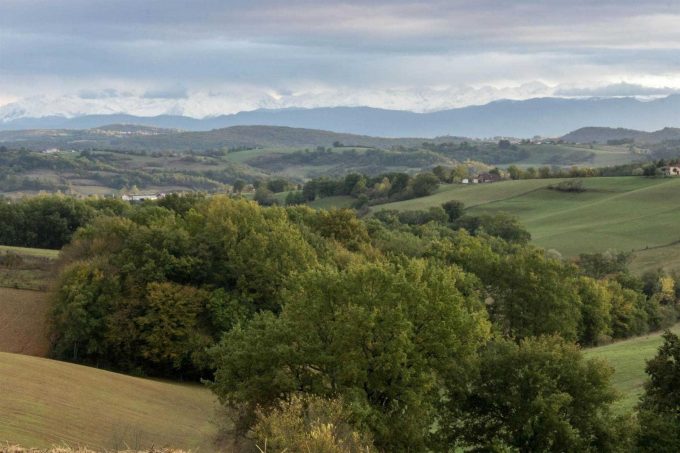 31G101370-5545cbe13ea44363914fc852cb73fb69