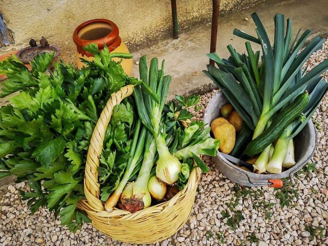 31G101370-74bdc4f35f7f4b7d83828fe38be58ce7