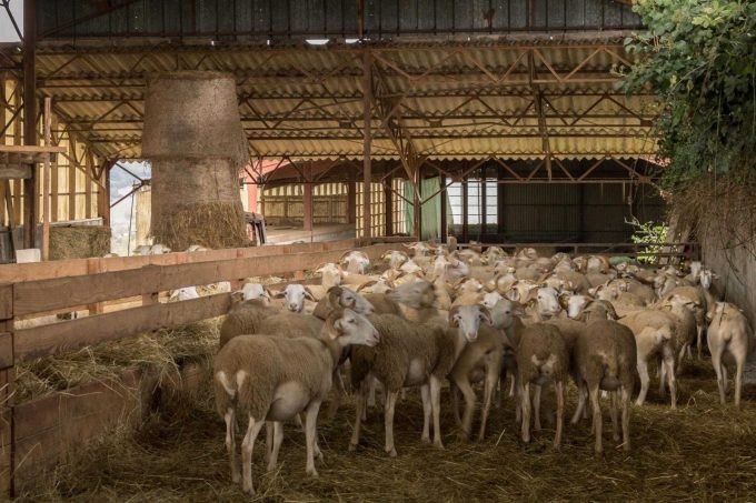 31G101370-78b98cc126504ecc9cd21ecd6fbb2975