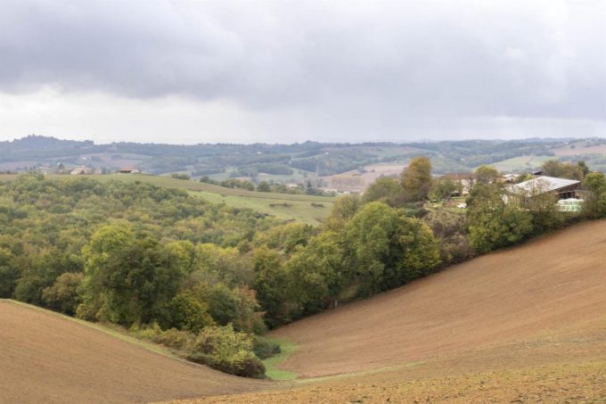 31G101371-0b5a794ea1ec4c10adebe8cc31425bdd