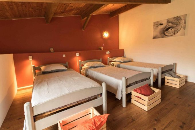 31G101371-2e7cb7704ca14bda9703c7856533d3e9