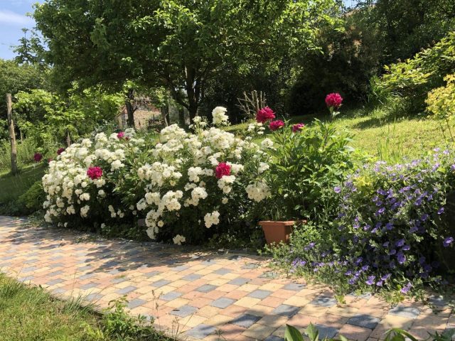 31G101393-0a8172b26b1740caa344114ca5b8c93d