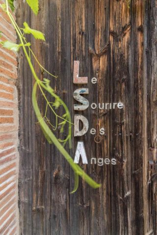 31G101423-6e0edaa57e1e4b86a377ba524cc99904