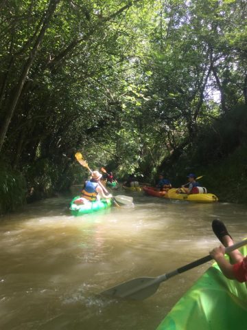 31G101480-568701752d3f4118aba00abe4fc3445d