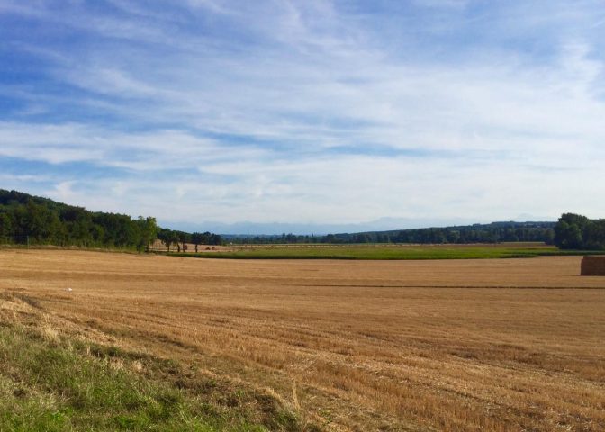 31G101480-76552dd16b754fd4bb1db1220e35f8c6