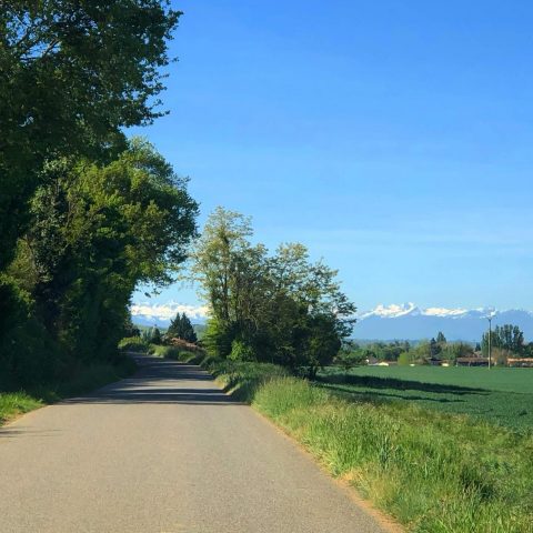 31G101480-ee52b8b0bc054b90ae4a9f1d20a85aa9