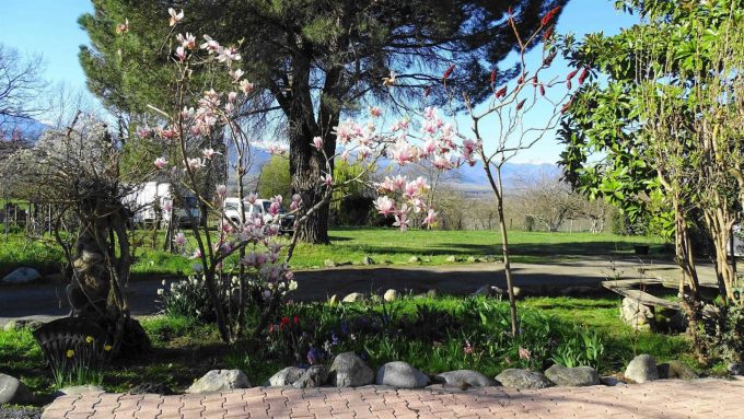 31G101494-519d04f5ecae420db47aab495426a799