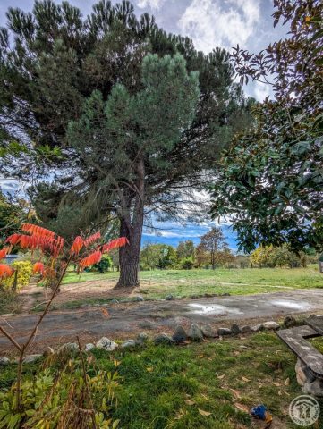 31G101494-5ebb7ec29b8a44cfaf1a83459aada776