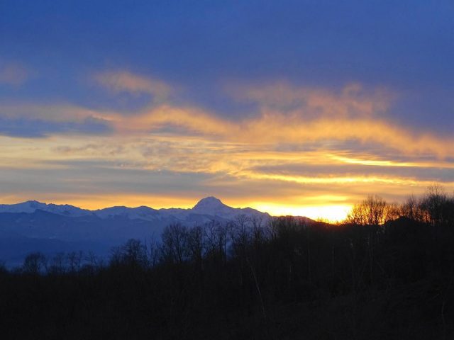 31G101494-6c6b86ed8a3f4cddb3f29313b587a0a0