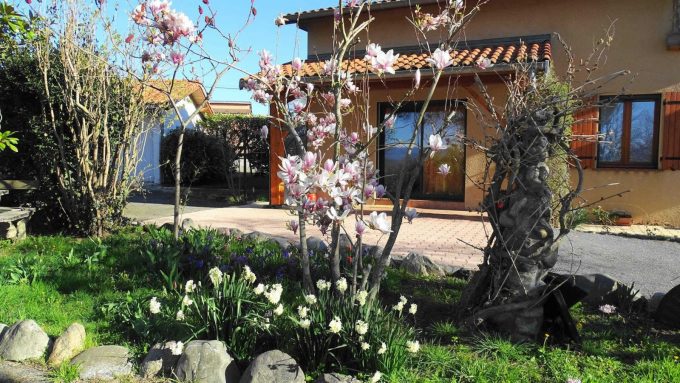 31G101494-77b41ed928f245ee8735ffc99f37f336