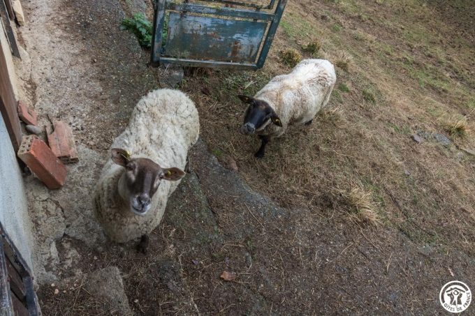 31G101543-95e98ec9eb73434cbabf6de1b0e3fb1e