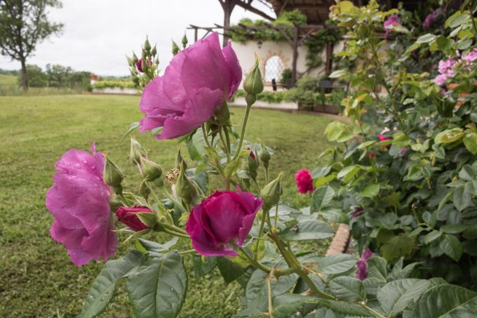 31G101688-130f7fb697b346599f63e3560874bb44