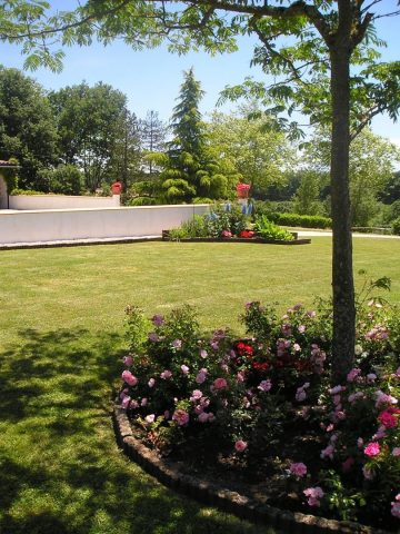 31G101688-31a516e771c84dfdb6e2a0ddd1f21858