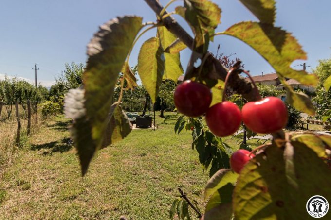 31G101704-b0ec7b31445e4d94a64986988e0c54e4