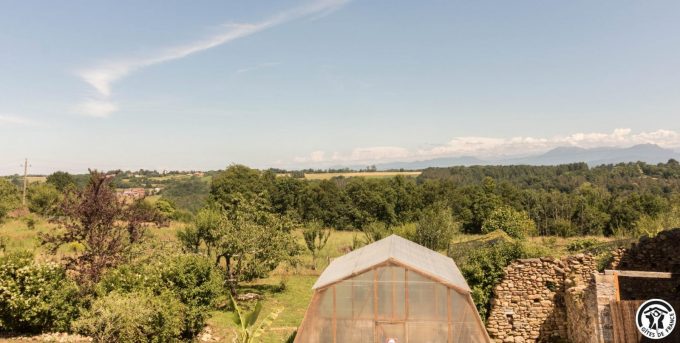 31G101704-b78884cb99e848b39b64ff12944a146d