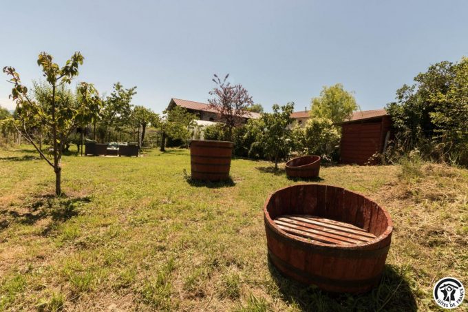 31G101704-f91a0c0385e54466835233a43ac16c4a