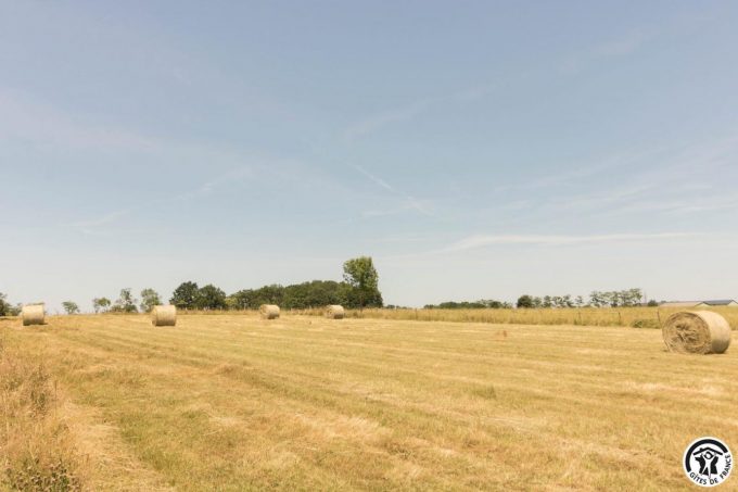 31G101706-5a0a03b30fc84c20a3248d2484d3574c