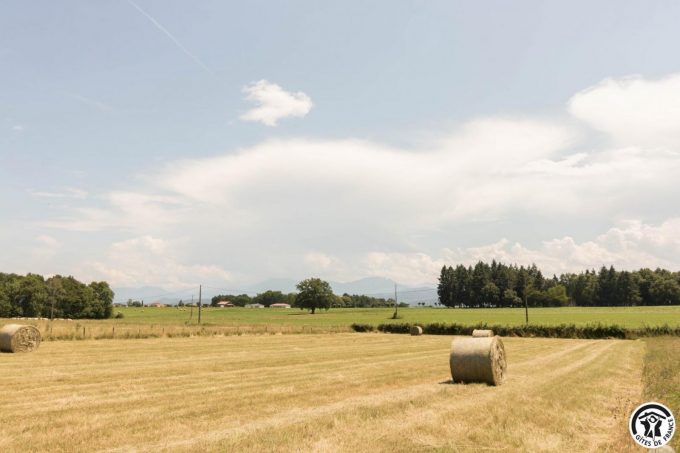 31G101706-7c15b12d02f04d60aecd5002ce55d6d9