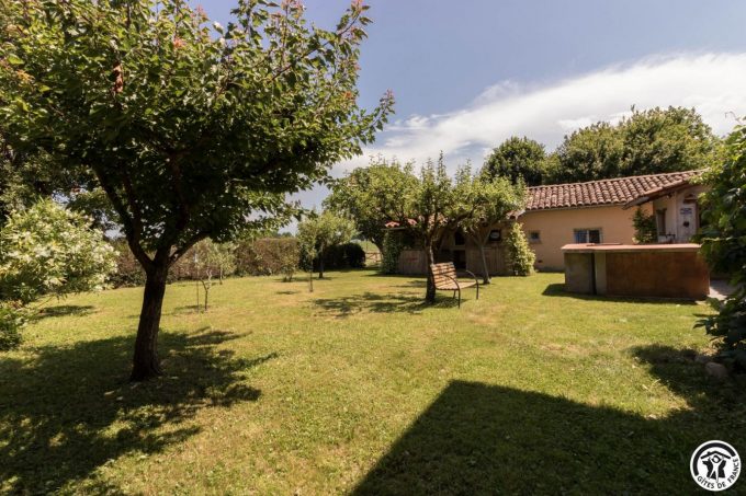 31G101706-92dc542388d84341842a716bf40d31e7