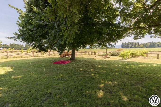 31G101708-0cec3a36192f4937b6cff58585455f44