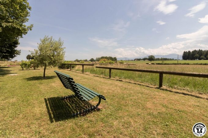 31G101708-17a3c13023eb46a6bde860046783caf8