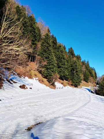 31G101753-1c4c40deb5e741b79598e990486bd248