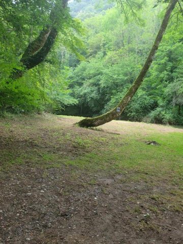 31G101753-68cc616686bb49a2bf5574d82bcdce7c