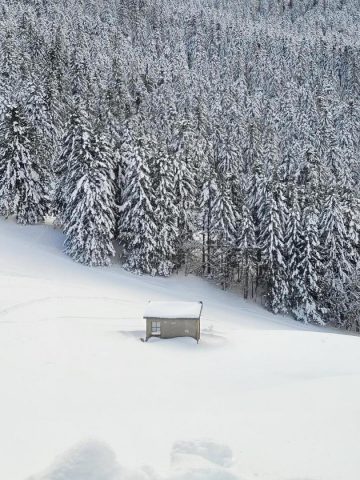 31G101753-e523b235f27e45bfb232092c1eb42e31