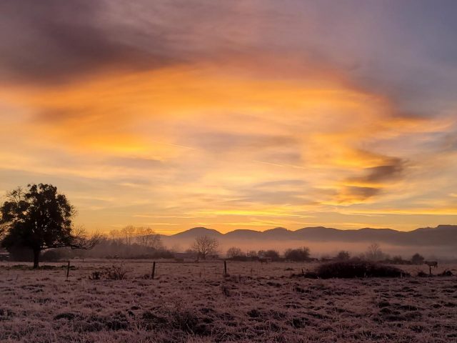 31G101753-e71721a7657a4e69abf8ca49d983ba46