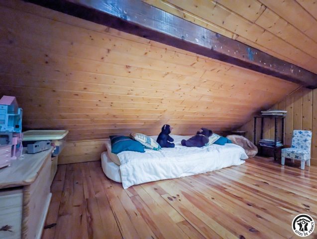 31G145014-ba801157d92049528d8d5ba57e11bf1b