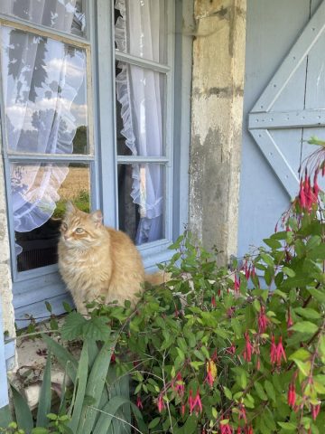 31G300038-2ed289e1757b448185f60da88784d040