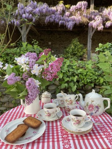 31G300038-455dfcc29510462f94888c0b869a367f