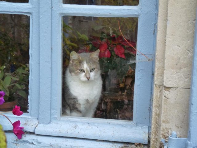 31G300038-467504fd06fd4d55bf54e2ffb42c20b9