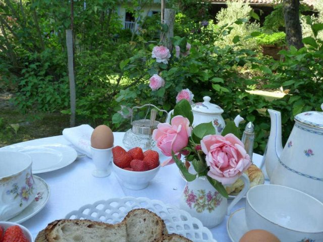 31G300038-a62a981b84604468a215eb779dbace24