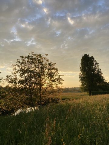 31G300038-ce504e62088a49d789c36dbfaaeab904