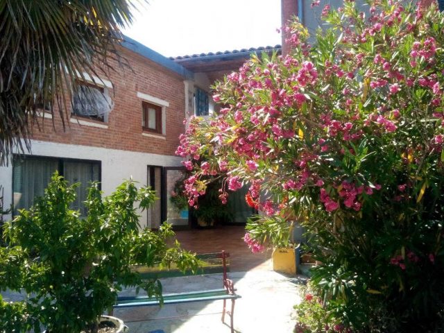 31G300062-7b9caf4b641e4718b9dfcbd17de50d1a