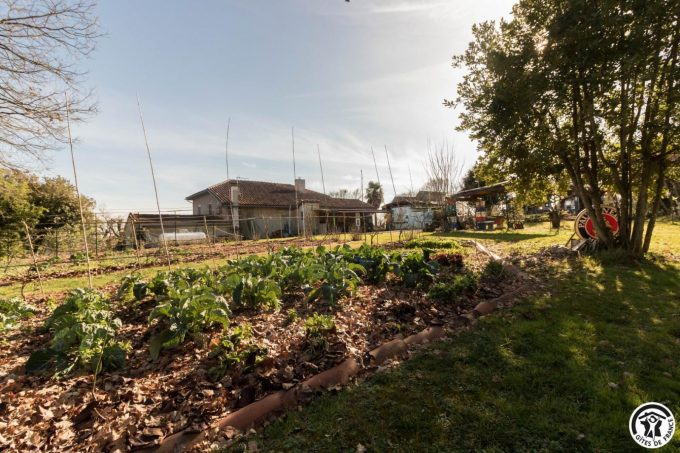 31G300062-c9b6273a67964f27b0bde390386d23c9