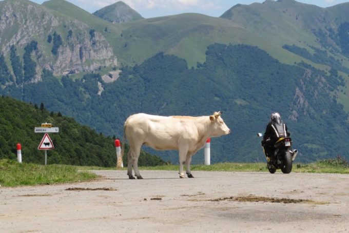 31G300454-4109f840671b4f3f8ee88611a0b232e4