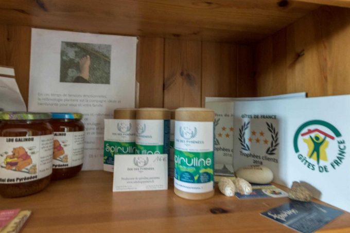 31G301028-0fb299772bbf45fe896ed5199ce42083