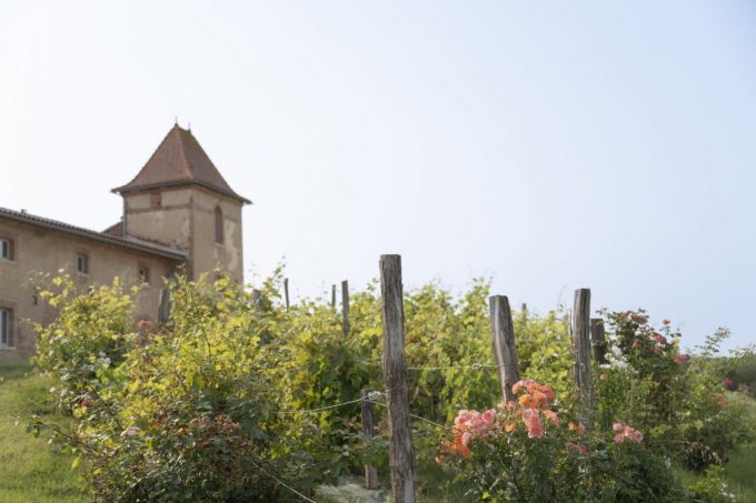 31G301623-0e29aa96f7074637b1fee9fc419c7ba1