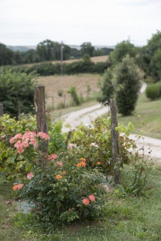 31G301623-29d2cd1eacb04072bd4cbc2d69e62c22