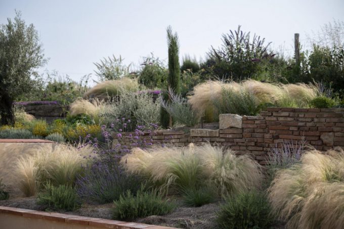 31G301623-65a19c6c464c4ca79b86148a00c12ed7