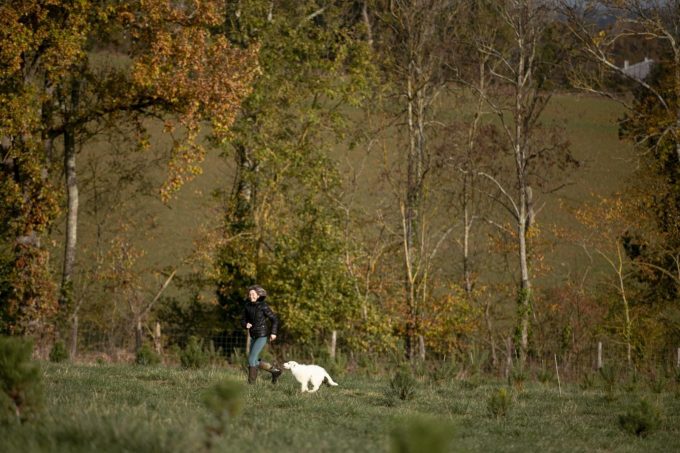 31G301623-df2367afe3c54294ade14d72ad6162ea