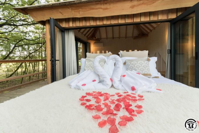 31G301727-87137a334482471d82e2cf60a45704e3