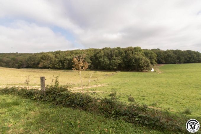 31G400541-982696fb3bdf4232a5c381346e0d4e10