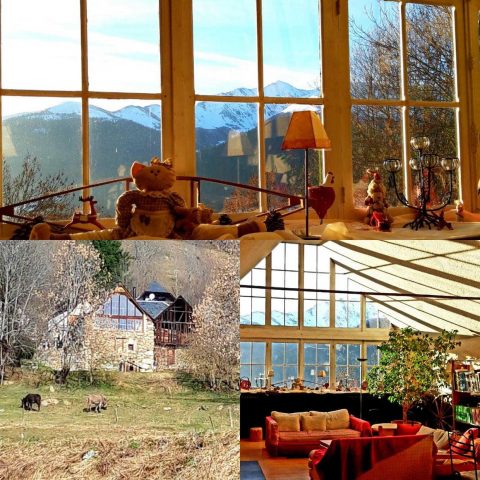 31G400647-89054136e2d649efb469f288620414e4