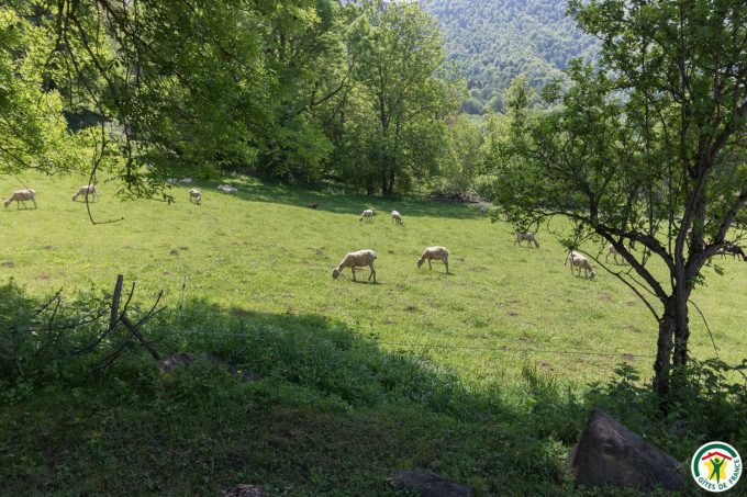 31G400762-075e67a4219a4b2ab9f62bb8b143f3a2